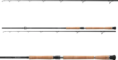 Image de Daiwa DW Pro Staff CF Spin 2.60m 80-240g Canne à lancer le silure