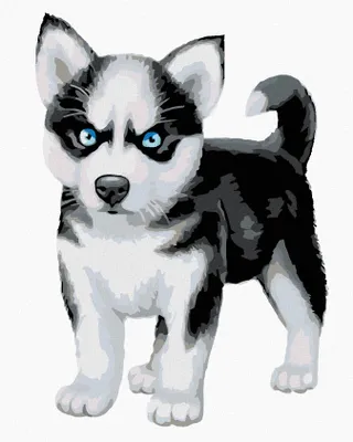 Produktbild von Diamondi - Diamond painting - BLAUÄUGIGER HUSKY, 40X50 cm, mit Keilrahmen (bereits gespannt)