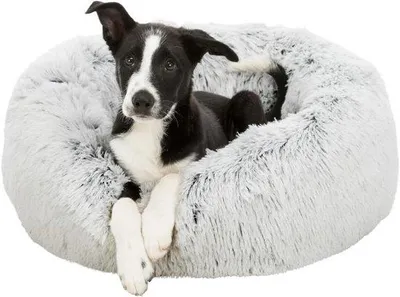 Produktbild von Tierbett mit Herausnehmbarem Kissen und Antirutschboden - Türkis/Grau
