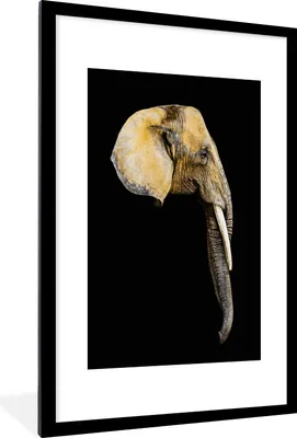Produktbild von MuchoWow® MuchoWow® Gerahmtes Poster Elefant - Kopf - Schwarz 60x90 cm - Poster mit zchwarzem Bilderrahmen - Dekoration - Wandposter Wohnzimmer - Hochwertig