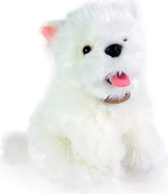 Produktbild von Rappa 192379 Plüschtier Plüschhund Hund Westhighland Terrier Westie Angie - 23 cm
