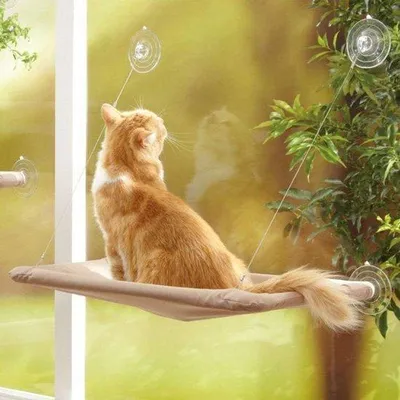 Image de Hamac pour chat à fixer à la fenêtre - Lit suspendu pour animaux avec ventouse - Confortable et robuste