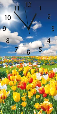 Produktbild von Wallario Design Wanduhr bedruckt, Größe 30 x 60 cm, Motiv: Tulpenwiese unter blauem Himmel