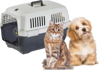Immagine prodotto di Cuccia da viaggio per cani e gatti di piccola taglia - Comoda e sicura per viaggi e voli