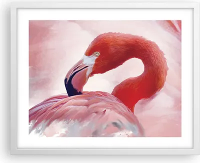 Produktbild von Gerahmtes Poster - Weißer Rahmen - Flamingo Vogel Porträt - 50x40 cm - Wand Bild - Wanddeko - Wandbilder - Kunstposter - Wandposter - Bilderrahmen - Bilder - Kunstdruck - P2WAA50x40-4984