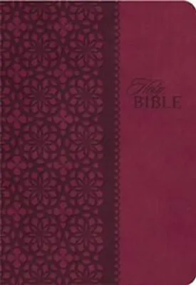 Obrázek produktu pro Study Bible-KJV
