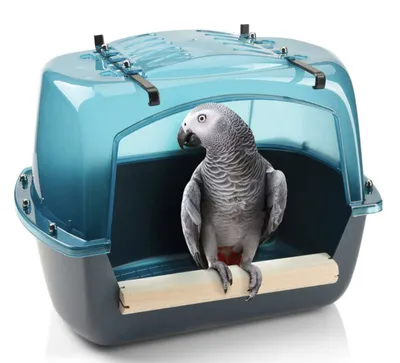 Obrázek produktu pro Splash Giant | Bazén pro všechny druhy papoušků