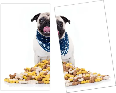 Produktbild von Spritzschutz Herdabdeckplatte Schneidebrett aus Glas Hungriger Mops 2-Teilig (60x52cm)
