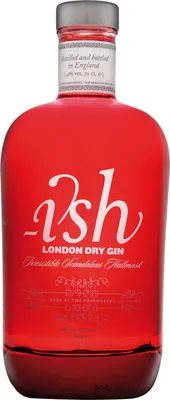 Produktbild von Ish London Dry Gin 41% Vol. 0,7l