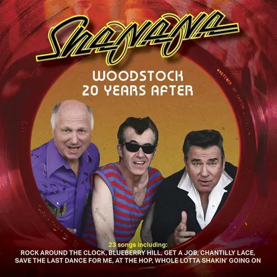 Productafbeelding van Woodstock: Twintig jaar later