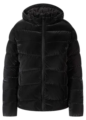 Produktbild von Minoti - Steppjacke für Damen, Samtgefühl MN726 (M) (Schwarz)