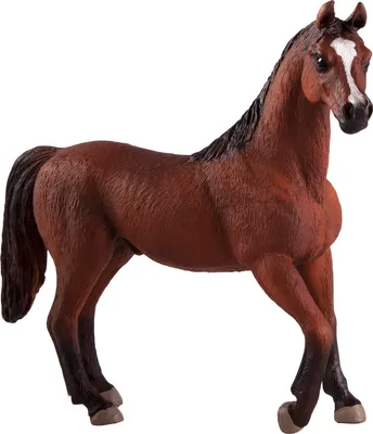 Produktbild von Mojo 387084 Animal Planet Arabischer Hengst Kastanie (1 Stück)