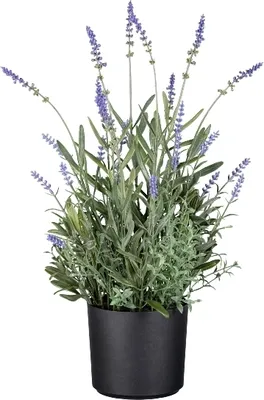 Produktbild von Künstlicher Lavendel im Topf H. 50cm grün lila GASPER Kunstblumen
