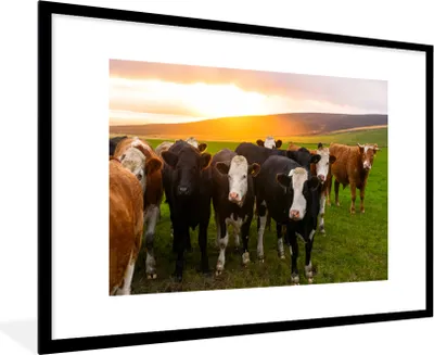 Produktbild von MuchoWow® Gerahmtes Poster Kühe - Hügel - Sonnenuntergang - Gras - Grün 90x60 cm - Poster mit Schwarzem Bilderrahmen Wandposter Rahmen Foto Bilder - Wanddekoration - Fotos