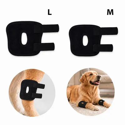 Produktbild von Hunde Vorderbein Bandage Schiene Set L+M – Schutz nach OP, Verletzungen & Hautproblemen, verhindert Lecken, weich, atmungsaktiv, waschbar