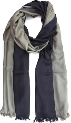 Produktbild von Schal Lonie im Farbverlauf mit Fransenkante von collezione alessandro