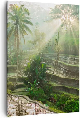 Produktbild von Bild auf Leinwand - Leinwandbild - Einteilig - Terrassen Reis Palmen - 50x70cm - Wand Bild - Wanddeko - Wandbilder - Leinwanddruck - Wanddekoration - Leinwand bilder - Wandbild - PA50x70-4665
