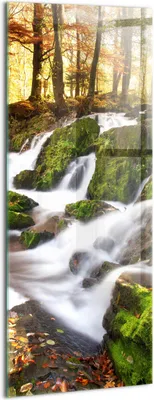 Produktbild von Designer Glasbild - Wandbild - Glas Bild - 50x125 cm - Ein Bach Im Herbstwald