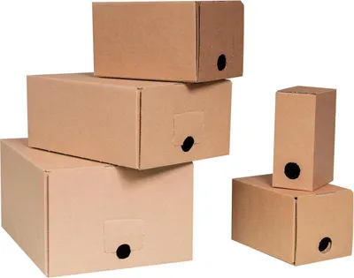 Produktbild von 20x Bag-in-Box Karton 5L Saftschlauch Weinschlauch