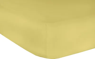 Produktbild von Mr.Sandman Elasthan Classic Topper Spannbetttuch Gold 160x200-210cm 220g/m²