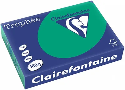 Produktbild von Clairefontaine Trophee Papier 1019C Tannengrün 160g/m² DIN-A4 - 250 Blatt