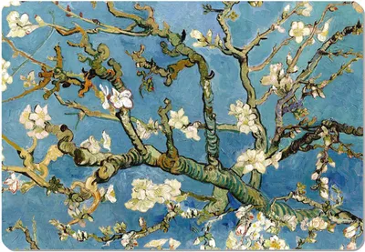 Obrázek produktu pro Podložka pod stůl Bertoni, z plsti, 50x70 cm, mandlová