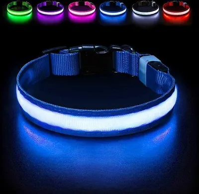 Produktbild von Hundeleuchte Halsband mit Licht für Spaziergänge