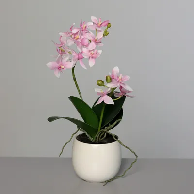 Produktbild von Kunstblume Orchidee im Keramiktopf weiß-rosa 34cm