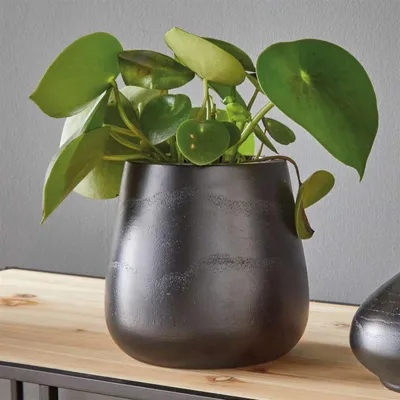 Produktbild von Dekovase "Black" aus Holz, schwarz, Holzvase, Übertopf, Tischvase, Vase