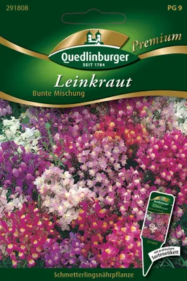 Produktbild von Leinkraut Bunte Mischung | Blumensamen von Quedlinburger