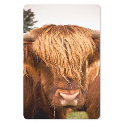 Produktbild von MuchoWow® Mauspad Mousepad Schottische Highlander - Braun - Gras 18x27 cm - Mousepads - Maus Mat - Pad - Mausunterlage