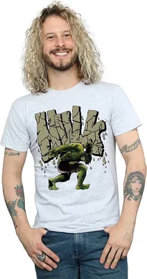 Produktbild von Hulk - T-Shirt für Herren BI1388 (3XL) (Grau)