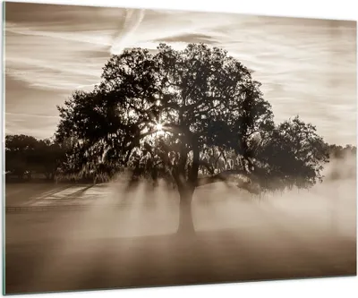 Produktbild von Bilder auf glas - Baum Feld Natur - 100x70cm - Glasbilder - Wandbilder - Kunstdruck - zum Aufhängen bereit - Wanddekoration aus Glas - Glas Bilder - Wandbild auf Glas - Einteilig - GAA100x70-3811