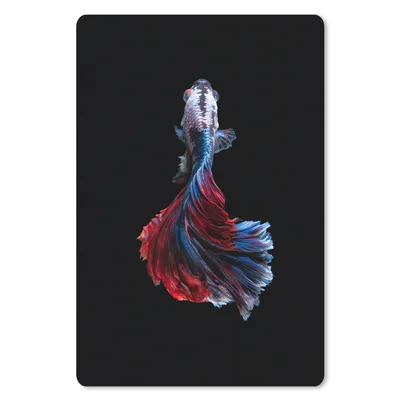 Produktbild von MuchoWow® Mauspad Mousepad Fisch - Schwanz - Schwarz 40x60 cm - Mousepads - Maus Mat - Pad - Mausunterlage - Schreibtisch Accesoire