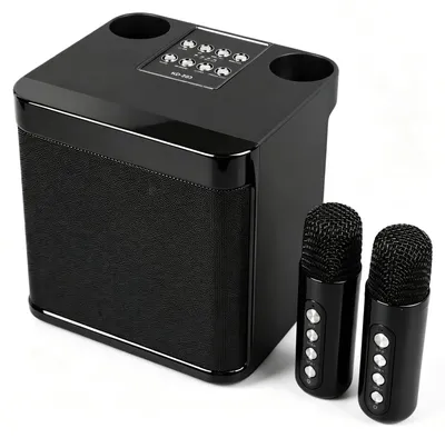Karaoke-Lautsprecher mit 2 Mikrofonen, tragbar, Subwoofer
