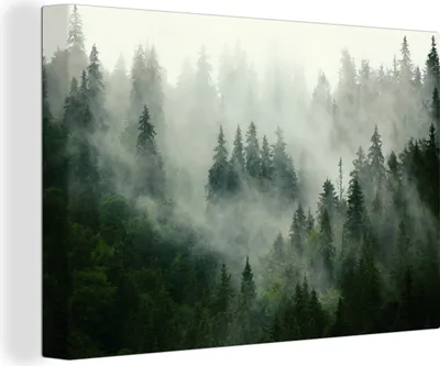 Produktbild von OneMillionCanvasses® - Leinwandbilder - 150x100 cm, Wald - Nebel - Bäume - Natur, Wandbilder Kunstdruck Wanddekoration - Foto auf Leinwand - Gemälde auf Holzrahmen