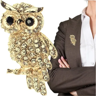 Image de EDIBAZZAR | Broche avec zircones hibou élégants cristaux de hibou