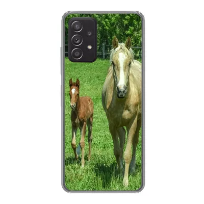 Produktbild von MuchoWow® Handyhülle Schutzhülle Hülle für Samsung galaxy a73 Pferd - Fohlen - Tiere Silikon Softcase Handy Hülle - Handyhülle