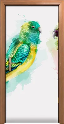 Produktbild von Türposter 90x200 cm Türaufkleber Türtapete Türfolie Klebefolie Tiere tropische Vögel Aquarellfarbe
