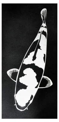 Produktbild von Kohaku Edelstahl 70 cm
