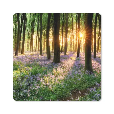 Produktbild von MuchoWow® Mauspad Mousepad Wald - Blumen - Lavendel - Sonne - Lila - Natur 30x30 cm - Mousepads - Maus Mat - Pad - Mausunterlage - Gaming
