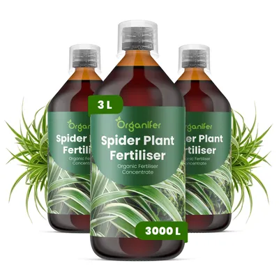 Produktbild von Grünlilien Flüssigdünger 3x1L – 2-1-8 NPK – Flüssig-Pflanzendünger für Grünlilien – Organifer
