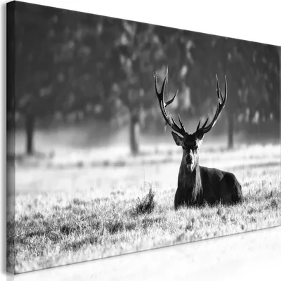 Produktbild von Wandbild Mega XXXL Hirsch 250x125 cm Einteiliger XXL-Format Kunstdruck zur Selbstmontage Leinwandbilder moderne Bilder DIY Wanddekoration Wohnung Deko Natur Tier Landschaft g-B-0049-ak-e