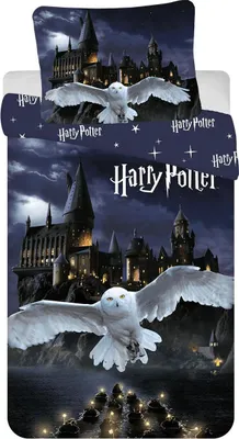 Productafbeelding van Harry Potter Dekbedovertrek Zweinstein - 140 x 200 cm - 70 x 90 cm - polyester