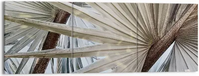 Produktbild von Bild auf Leinwand - Leinwandbild - 3 Teile - Blatt Palme Natur - 150x50cm - Wand Bild - Wanddeko - Wandbilder - Leinwanddruck - Bilder - Wanddekoration - Leinwand bilder - Wandbild - CA150x50-5056