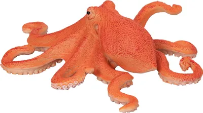 Obrázok produktu pre Mojo Fun Octopus, 3 rok / roky, SEALIFE, Oranžová, Biela, Polyvinylchlorid (PVC)
