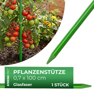 Zdjęcie produktu dla Strend Pro Garden CountryYard S270 tyczka 100 cm 7,0 mm zielona - zestaw 5 szt.