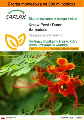 Zdjęcie produktu dla SAFLAX - Garden in the bag - Krzew Pawi / Duma Barbadosu - 10 Nasiona - Z podłożem uprawowym w praktycznej, samorozkładającej się torbie - Caesalpinia pulcherrima