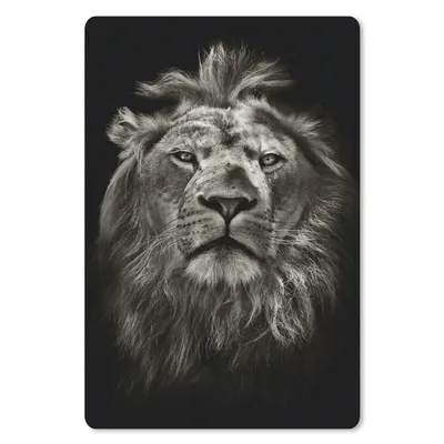 Produktbild von MuchoWow® Mauspad Mousepad Löwe - Tiere - Porträt - Wildtiere - Schwarz und weiß 18x27 cm - Mousepads - Maus Mat - Pad - Mausunterlage