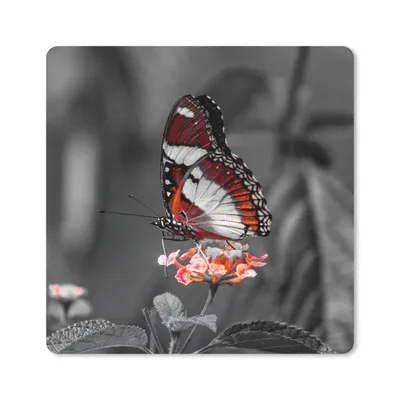 Produktbild von MuchoWow® Mauspad Mousepad Schmetterling - Tiere - Blumen - Schwarz und weiß - Orange 20x20 cm - Mousepads - Maus Mat - Pad - Mausunterlage - Desk Mat - Bureauartikeln